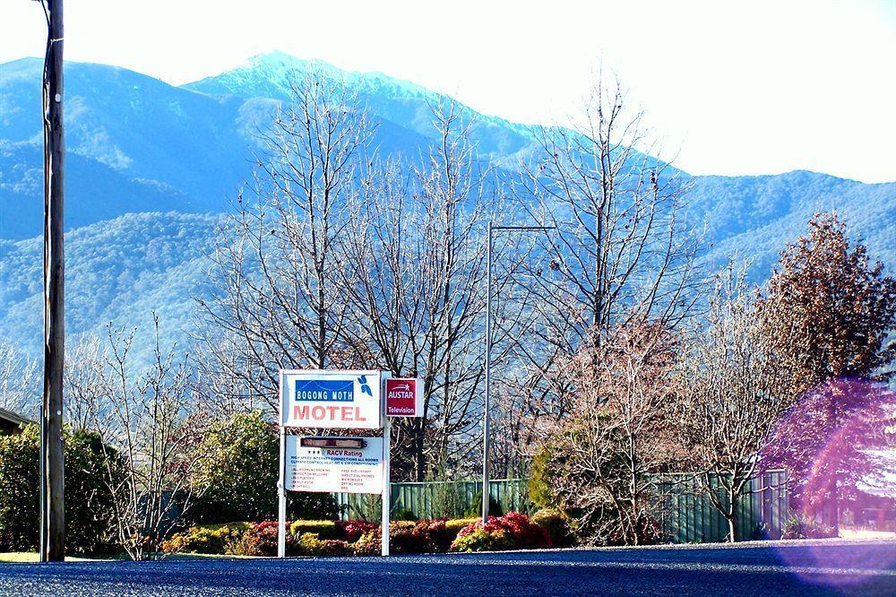 Bogong Moth Motel 마운트 뷰티 외부 사진
