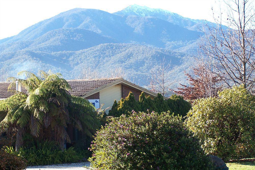Bogong Moth Motel 마운트 뷰티 외부 사진